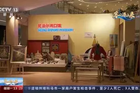 “90后”尼泊尔小伙 因进博结缘中国市场图片