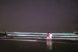 漳浦海域现“蓝眼泪”景观图片