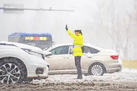 乍暖还寒！山东多地迎罕见暴雪图片