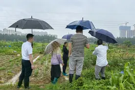 江西南昌县： 田间地头化纠纷 社区治理绘同心图片