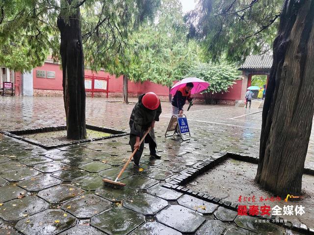从细节到长效 泰安市博物馆洁净安全护航假日旅游