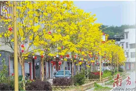 精选优质园 产销端直连图片
