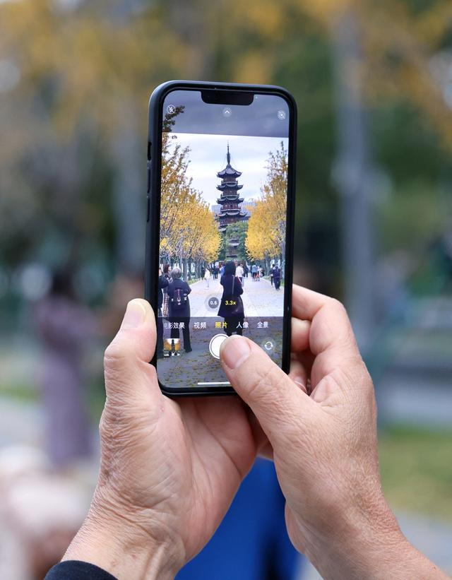 美景叠加禅意：龙华寺成为上海热门赏秋胜地