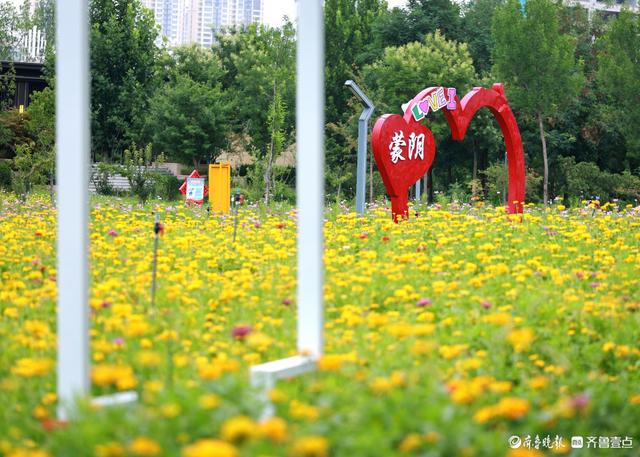 盛夏花潮，自然绮梦