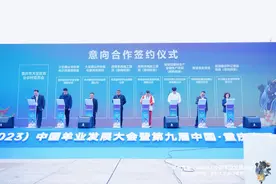 第十九届（2023）中国羊业发展大会在大足开幕图片