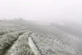 台州，下雪了！图片
