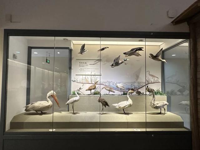 中国第一座公共博物馆120周年！系列重磅活动开启！