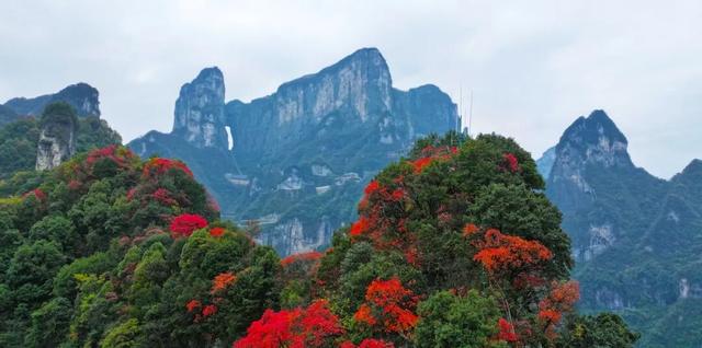 连晴！快出门秋游吧