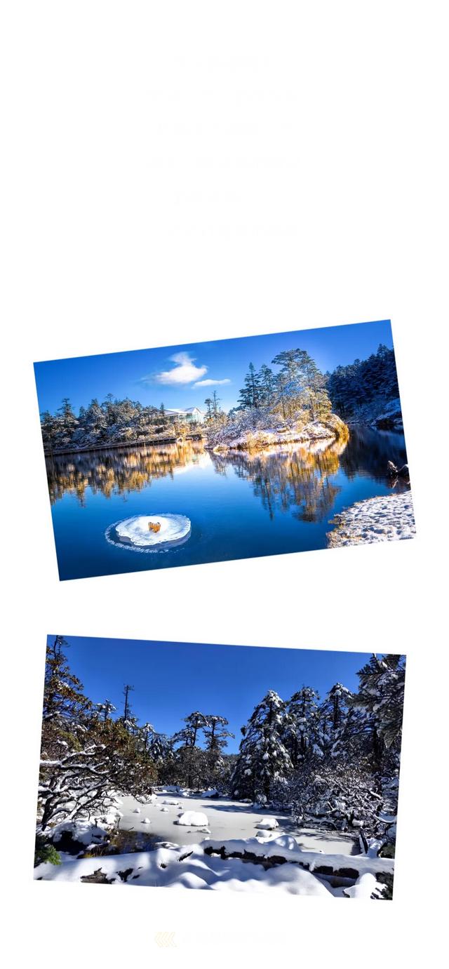 下雪啦！冬天会耍的人，都往螺髻山跑！