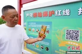 郑州推行“一码看耕地”举措  科技赋能耕地保护图片