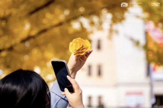 上海银杏浓度已达99％！这份含“金”浪漫别错过