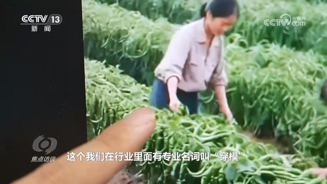 焦点访谈｜真假难辨 警惕AI带货“李鬼”！