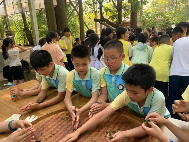 秋假出发！高明6大研学路线出炉，速速来查收