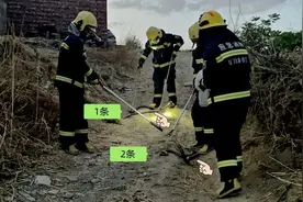 气温回升发现“蛇出没”，别慌张！这些防蛇小技巧请收好图片