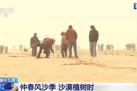“锁边”→“扩边” 塔克拉玛干沙漠植树造绿迎来新进展图片