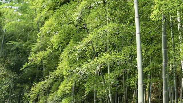 跟着电影去秋游｜这份精选秋日电影旅行地指南，请查收！