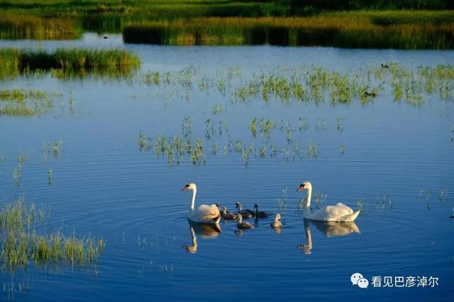 巴彦淖尔这座城，比你想象的更“宝藏”