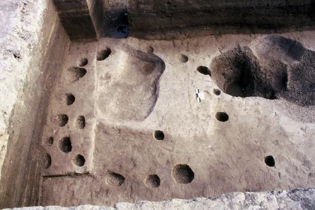 一日闲，两日慢，三日深度玩！满满年味看青浦→