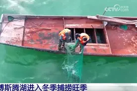 新疆博斯腾湖进入冬季捕捞旺季 “抓大放小”贯彻可持续发展理念图片