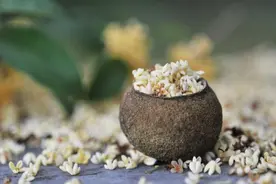 中秋赏桂，你可知桂花也是一味好药？图片