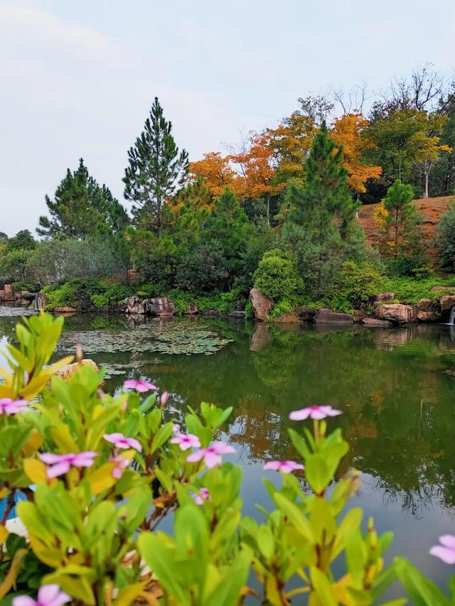 别眨眼，接下来的新干是这样的→
