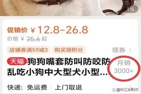 狗嘴套销量猛增，宠物医生建议短鼻狗慎用图片