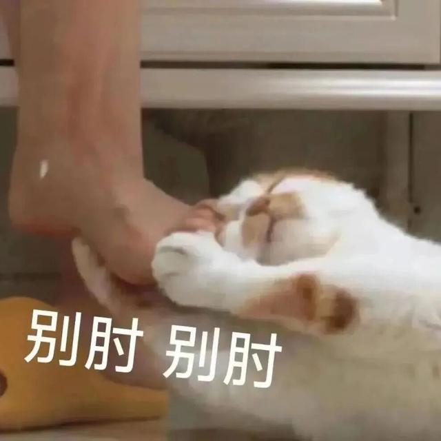 “续费成功”！9月1日至30日，瓦屋山所有人持续宠粉【免门票】！