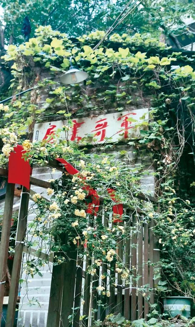 重庆“书店地图”更新了，初冬雨天就适合泡在书香里