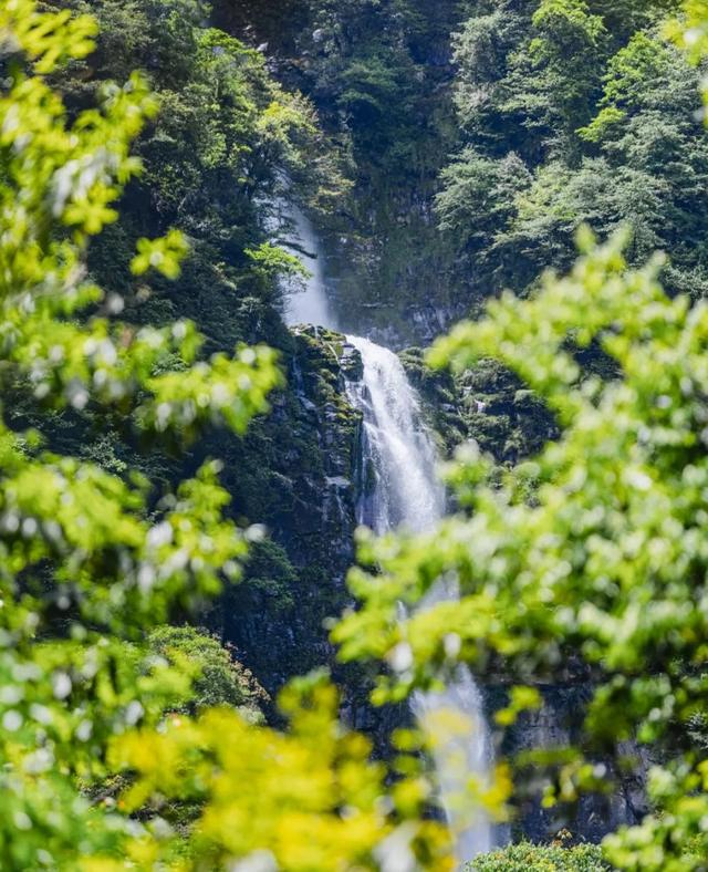 【直播倒计时1天】！你对夏日的所有幻想都在瓦屋山！