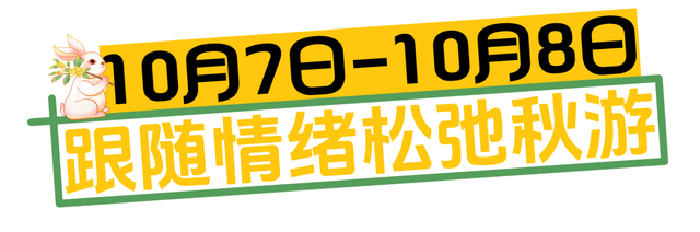 浙报头版聚焦莲都！在古堰画乡遇见画中人