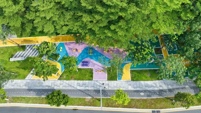 运动、遛娃、拍照全安排！东莞人“家门口”又上新了