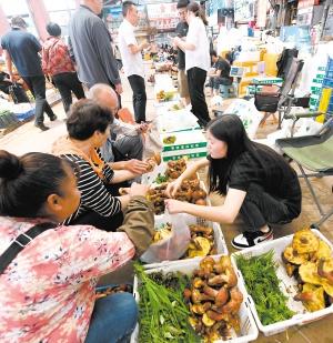 昆明盛夏 蘑力四射