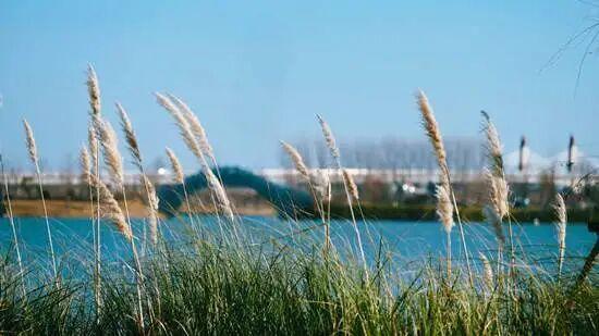 在郎溪，两天一夜还可以这样游！