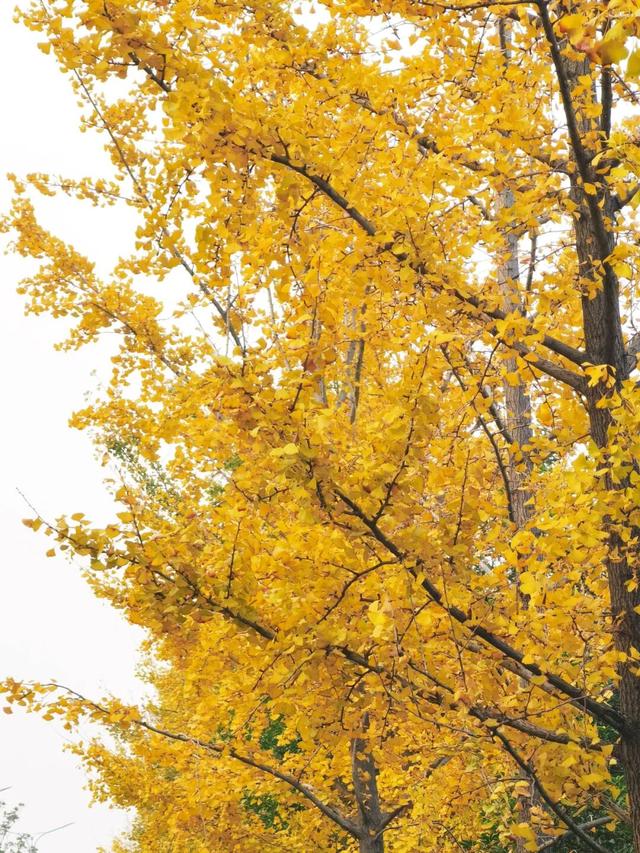 别眨眼，接下来的新干是这样的→