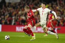 欧洲杯24强全部产生，波兰、乌克兰、格鲁吉亚搭上末班车图片