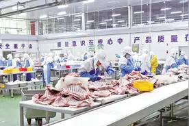 环县 全链条发展肉羊产业提升养殖效益图片