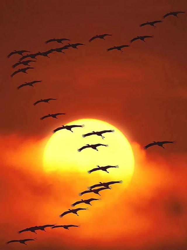 当朱迪尼克来到江西～原来这里也是疯狂动物城！