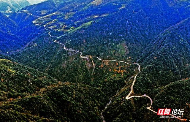 从“十八拐”到齐眉界，一条森林公园里的红色风景线