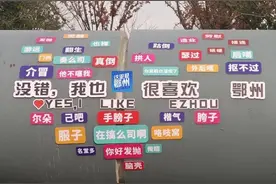 带你到野生动物王国揭秘鄂州人专属暗号图片