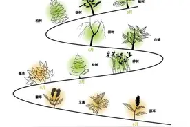 春季花粉大作战 过敏性鼻炎患者如何应对图片