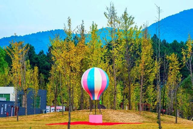 梯田、银杏、枫叶……跟着广东旅游文化节打卡清远“限定”美景