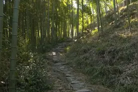 湖州：千年古道焕发新机图片