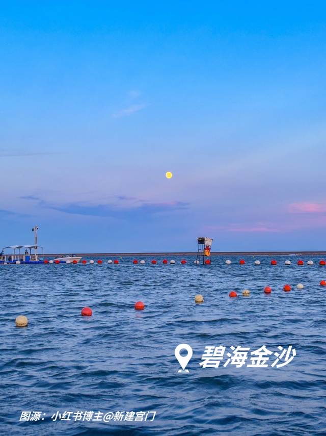 藏在奉贤的神仙自驾线！1天打卡古镇、森林、蓝海……人少出片到内存爆炸！