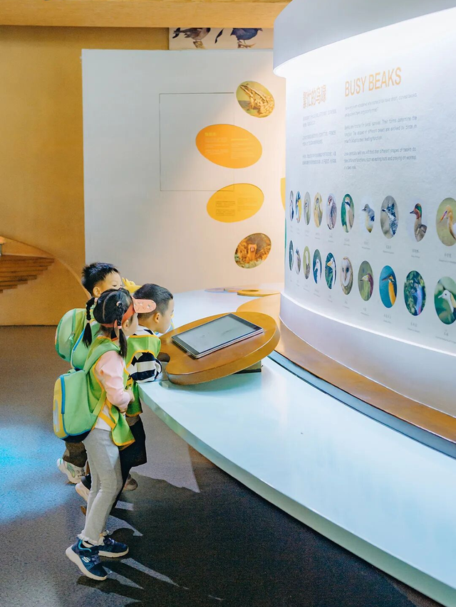 央视用4分钟报道了洋湖的梅花！到底美在哪？