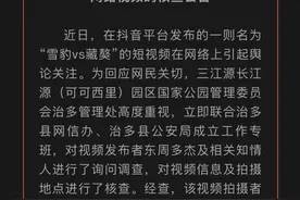 受伤小雪豹“凌小蛰”是否曾被藏獒围攻？未来是否放归？西宁植物园齐新章回应网友关切疑问图片