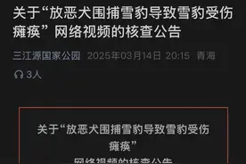 受伤小雪豹“凌小蛰”是否曾被藏獒围攻？未来是否放归？西宁植物园齐新章回应网友关切疑问图片