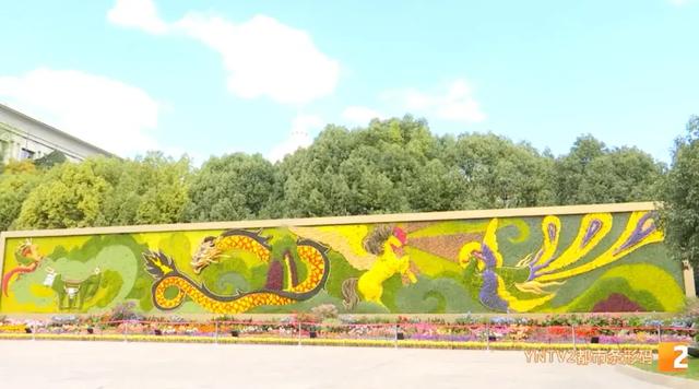 牛虎铜案、金马碧鸡“画”在墙上了!快来打卡昆明这个50米3D花墙