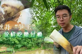 吊丝丹“笋王”这样吃最过瘾？ | 附最全林岳吊丝丹笋美食指南图片