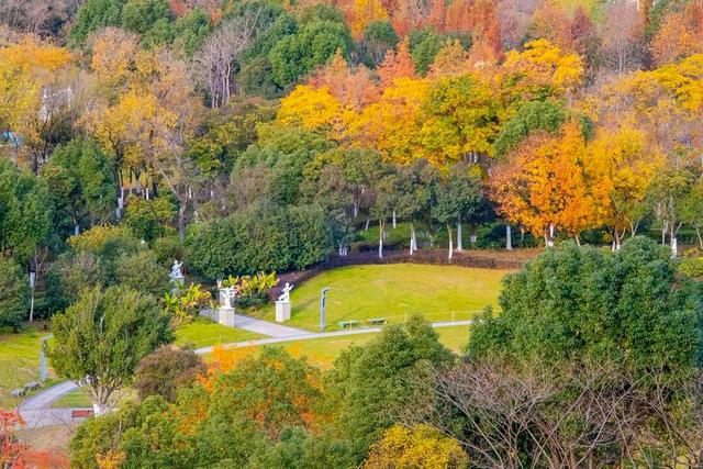 冬来秋未尽！秋天是赖上合肥了？