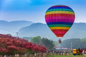 巴南区南彭街道：大力发展乡村旅游 奋力推进乡村振兴图片